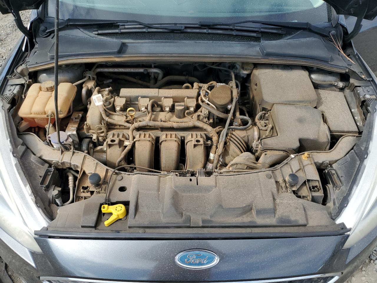 2016 Ford Focus Se VIN: 1FADP3K22GL315667 Lot: 84710445