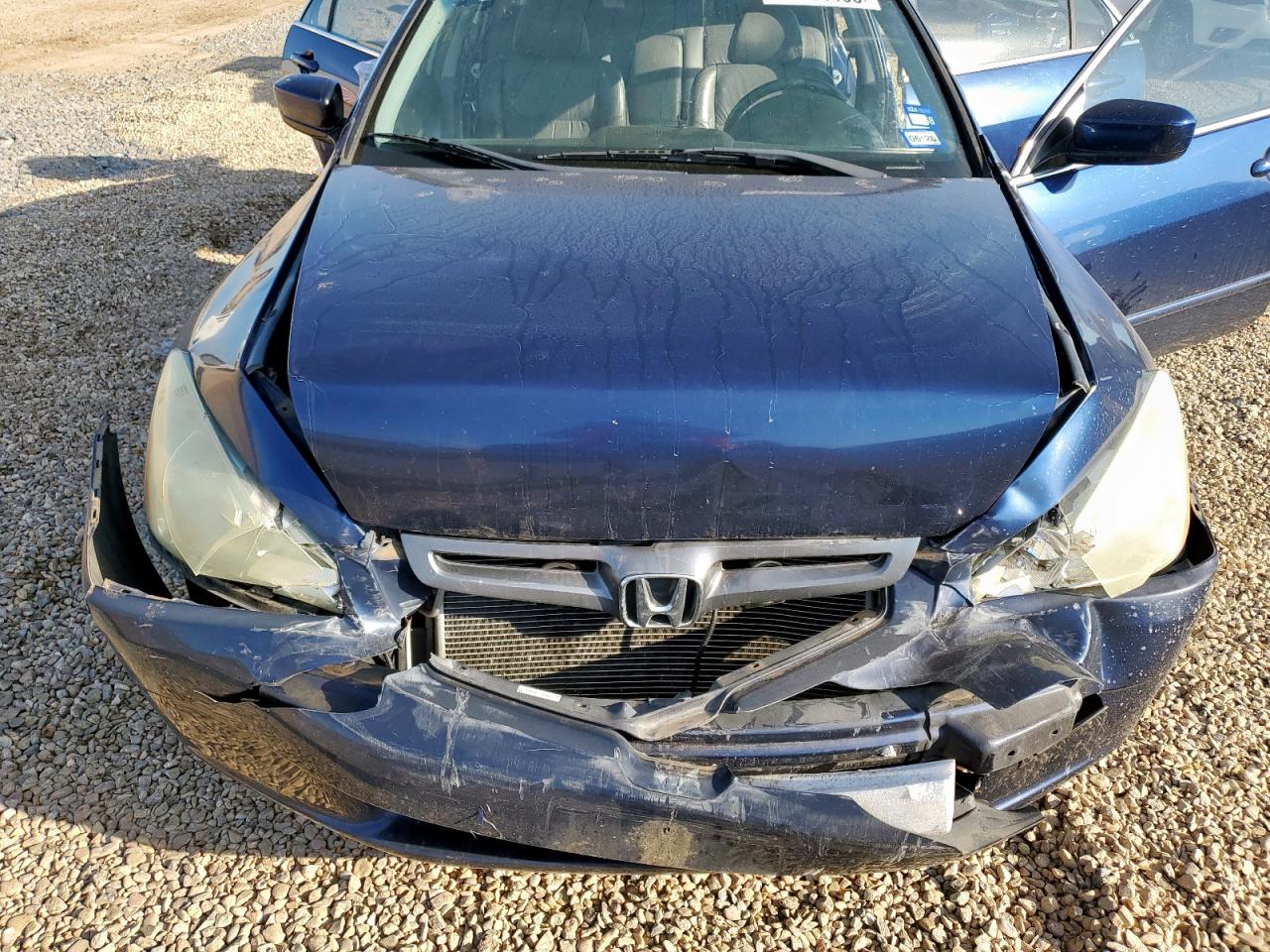 2005 Honda Accord Ex VIN: 1HGCM66595A045982 Lot: 86124455