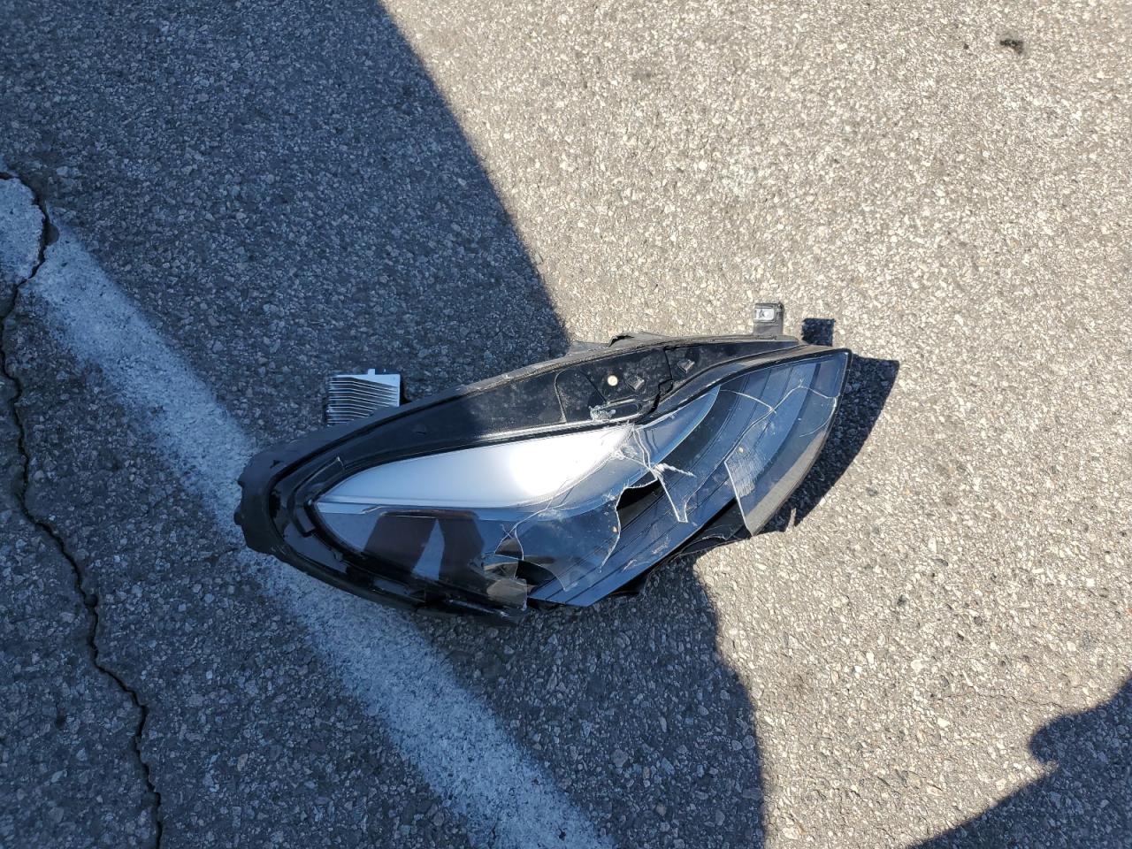 2023 Tesla Model Y VIN: 7SAYGDEF0PF606013 Lot: 90315335