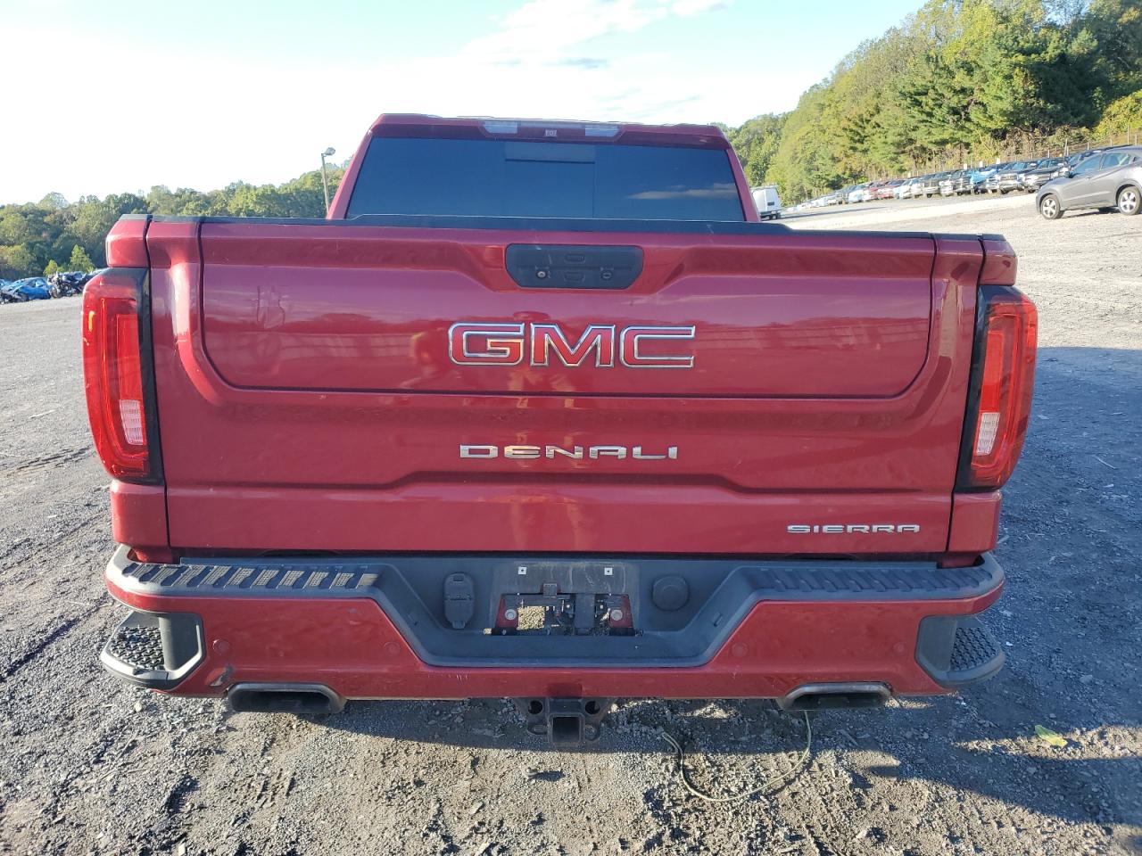 2019 GMC Sierra K1500 Denali VIN: 1GTU9FEL3KZ169733 Lot: 84821385