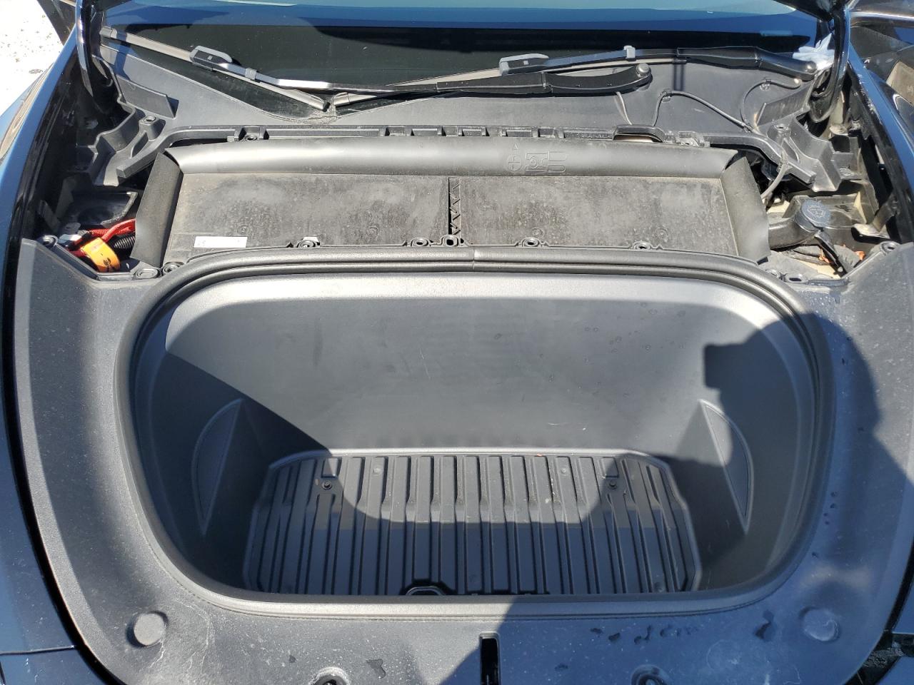 2024 Tesla Model Y VIN: 7SAYGDED9RF089599 Lot: 84059915