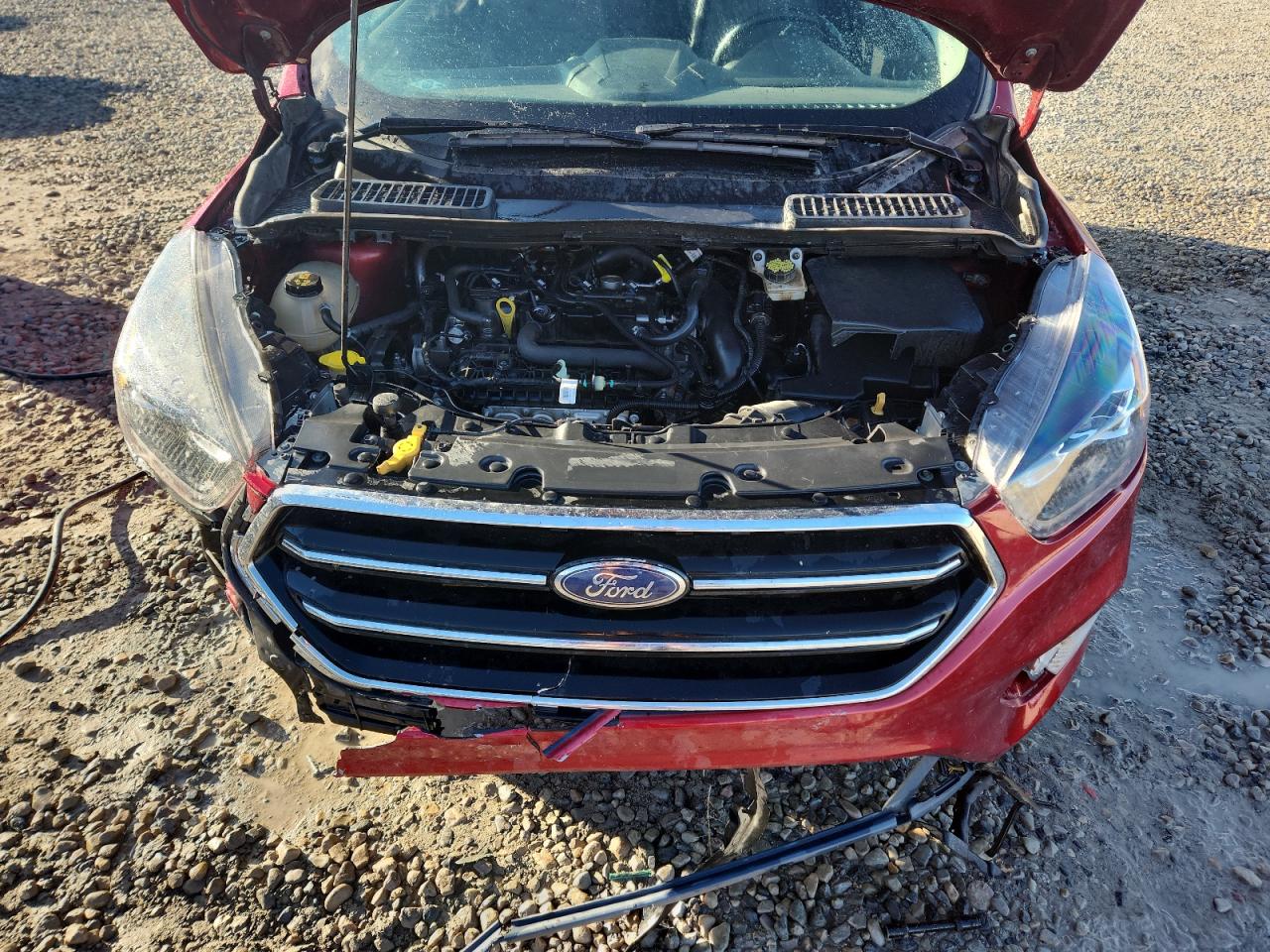 2019 Ford Escape Se VIN: 1FMCU9GDXKUA36509 Lot: 86145135