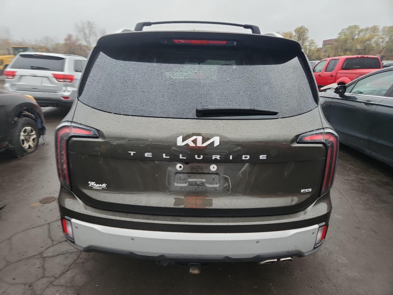 2024 Kia Telluride Sx VIN: 5XYP5DGC0RG556694 Lot: 90318485