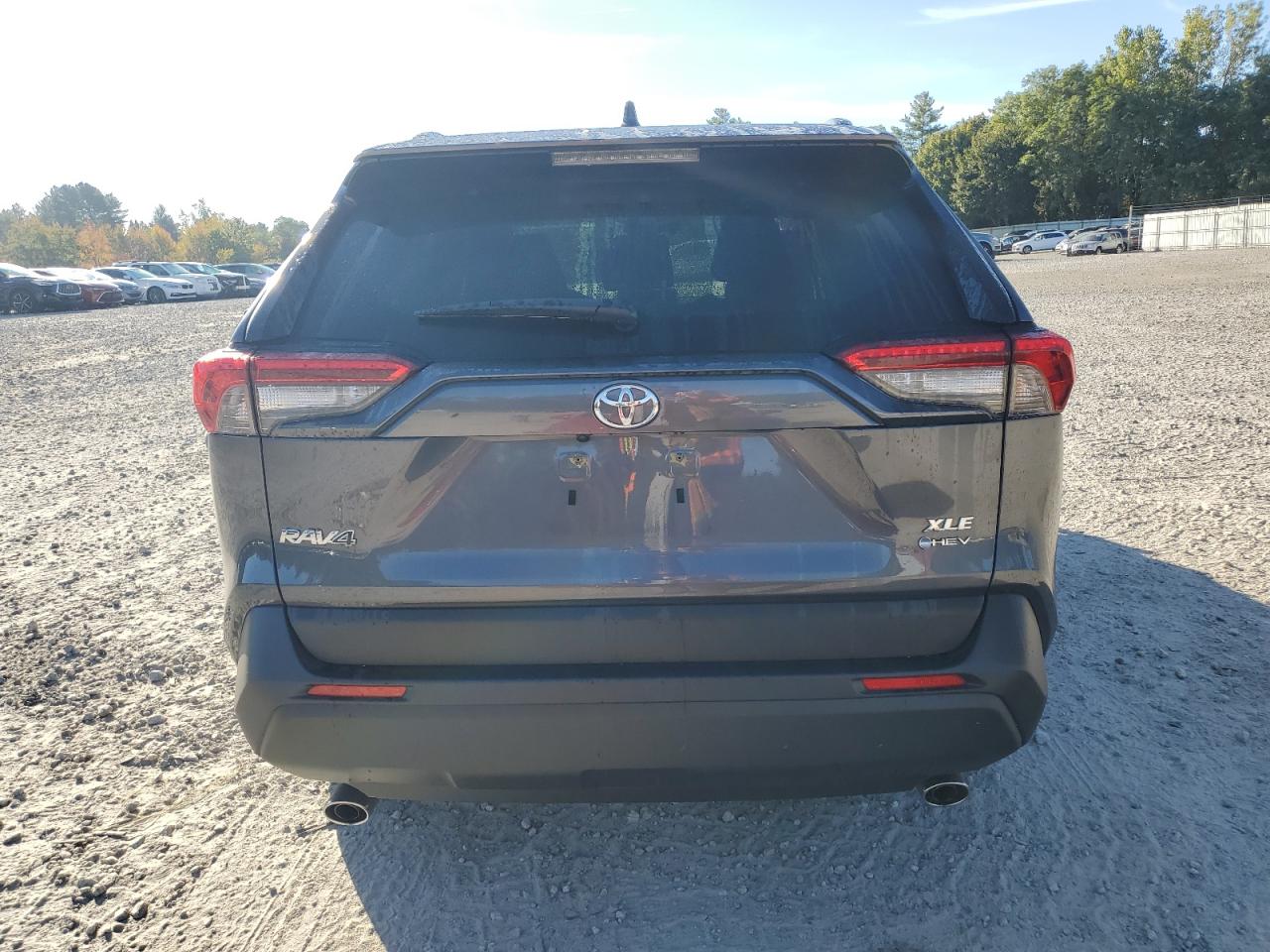 2025 Toyota Rav4 Xle VIN: JTMRWRFV0SD304406 Lot: 85089115