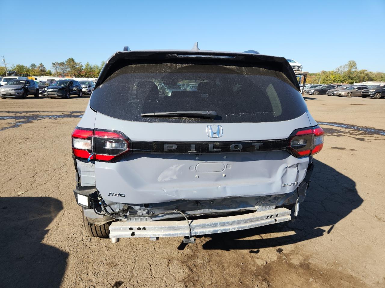 2025 Honda Pilot Elite VIN: 5FNYG1H84SB089204 Lot: 81976035