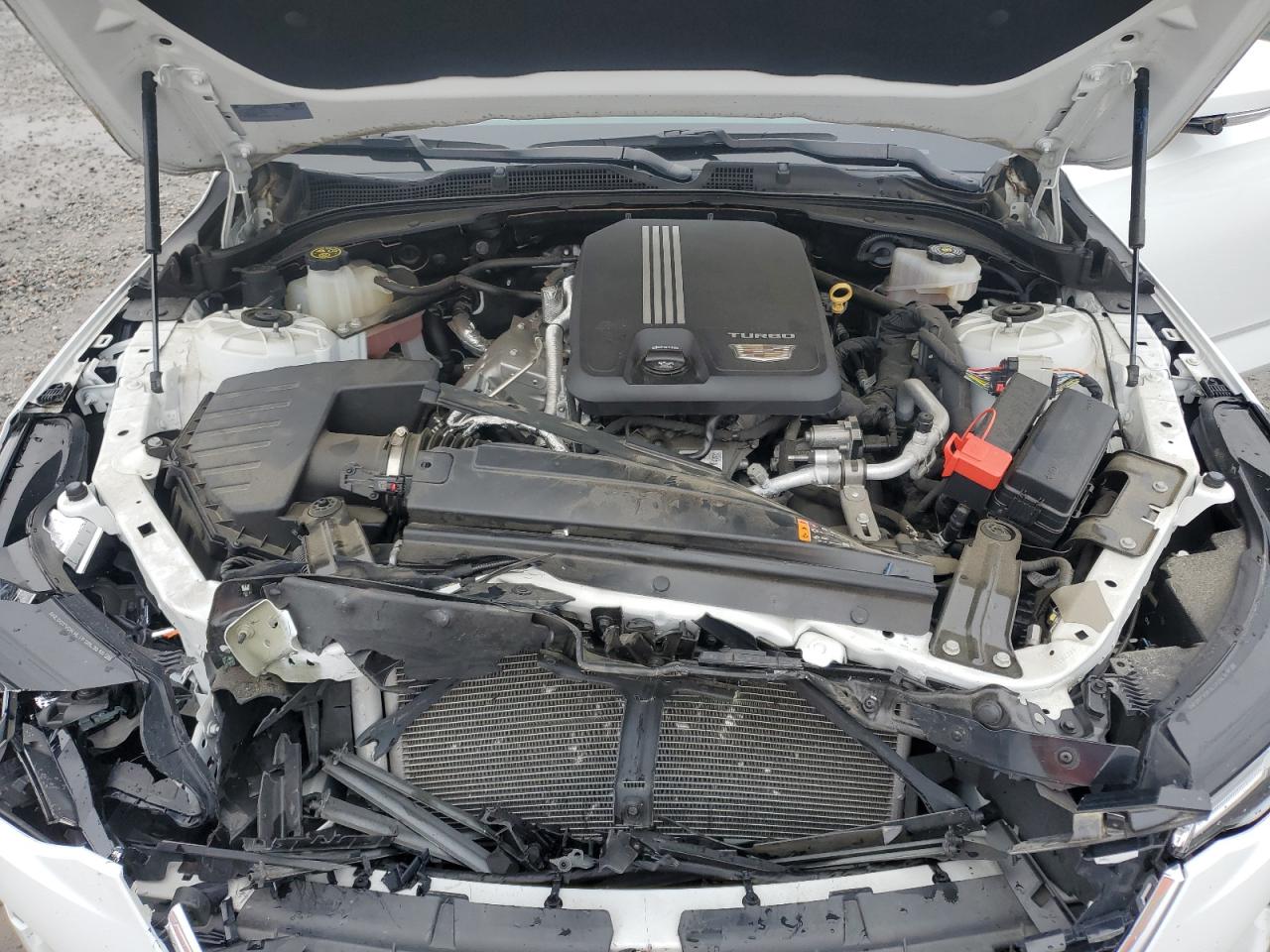 2021 Cadillac Ct4 Premium Luxury VIN: 1G6DB5RK7M0145641 Lot: 90310375