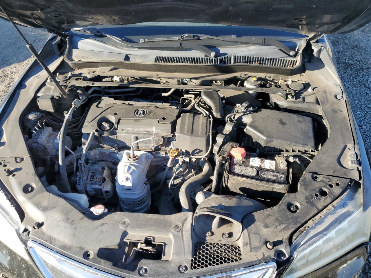 2016 Acura Tlx Tech VIN: 19UUB1F51GA005167 Lot: 87261865