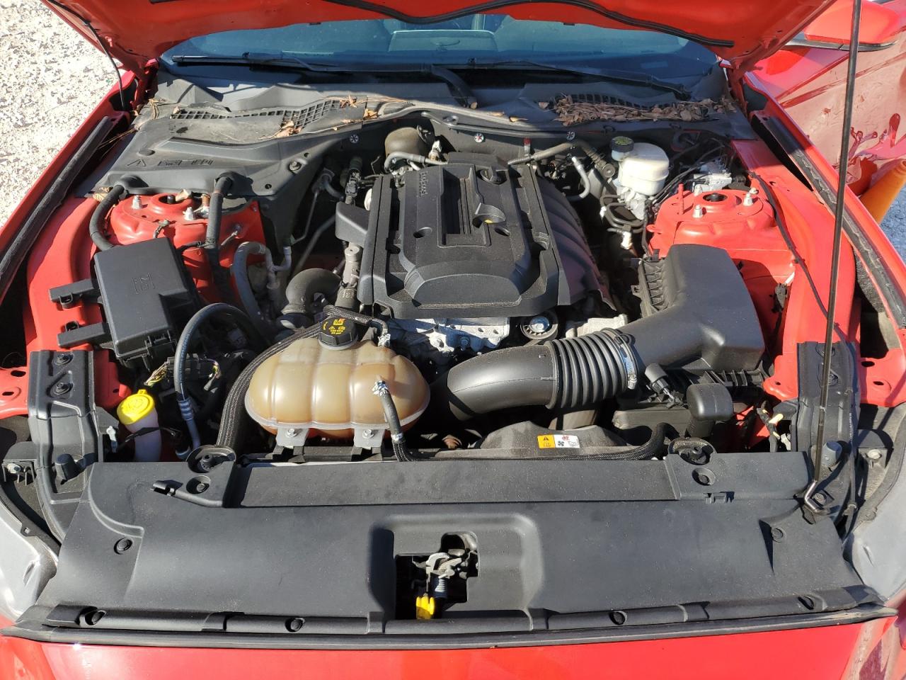 2015 Ford Mustang VIN: 1FA6P8TH1F5305787 Lot: 89705325