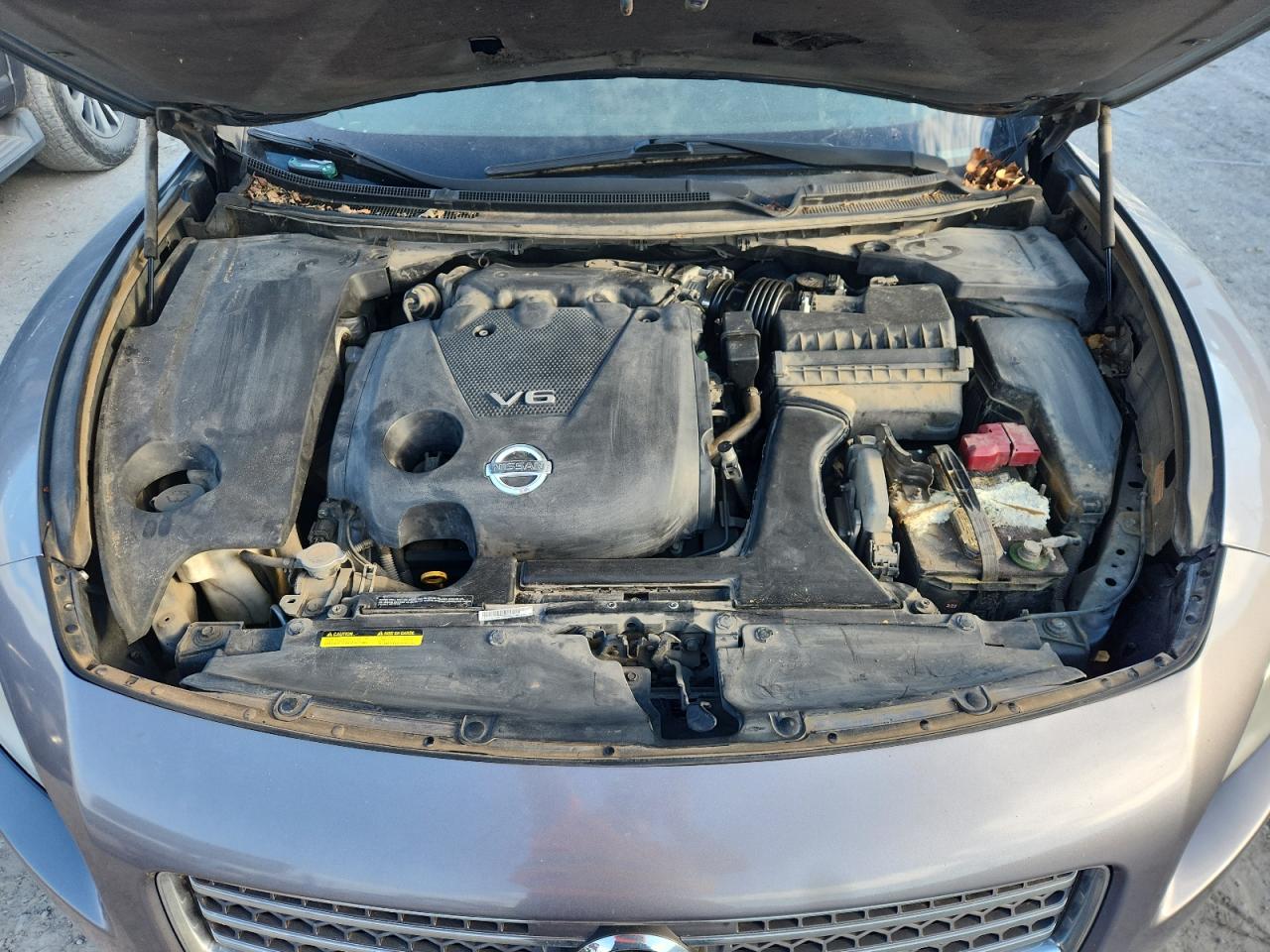 2010 Nissan Maxima S VIN: 1N4AA5AP2AC818488 Lot: 82336355