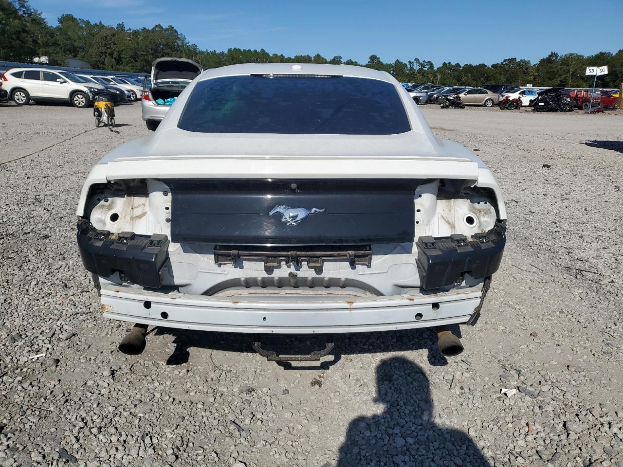 2019 Ford Mustang VIN: 1FA6P8TH0K5166245 Lot: 84460845