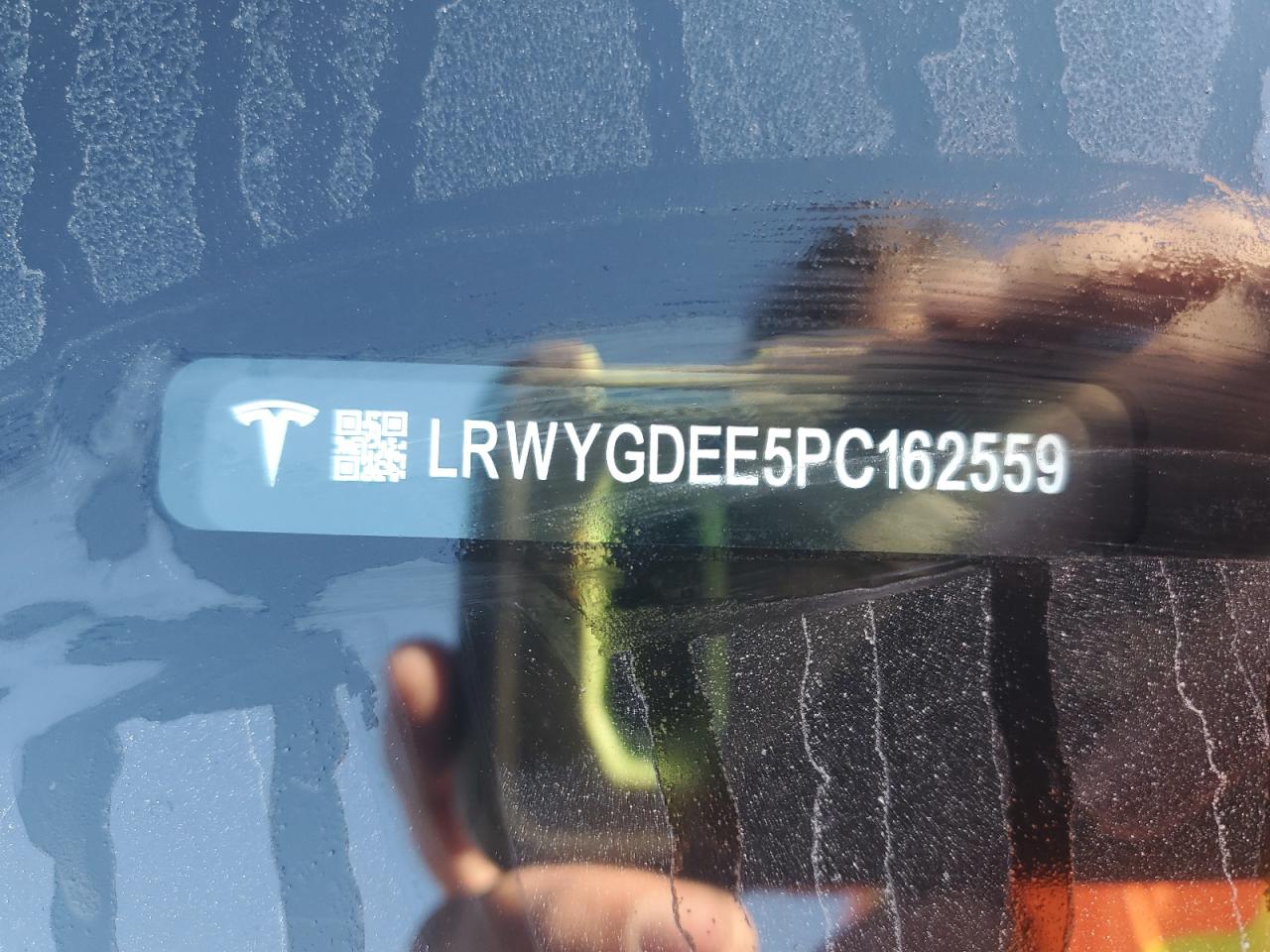 2023 Tesla Model Y VIN: LRWYGDEE5PC162559 Lot: 84933255