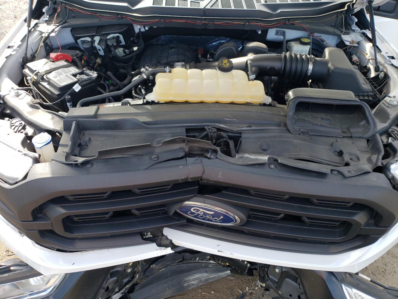 2022 Ford F150 Supercrew VIN: 1FTEW1EB3NFA62419 Lot: 82633755