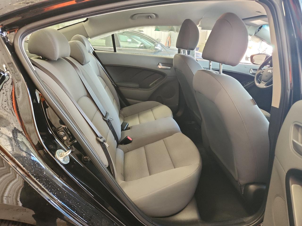 2017 Kia Forte Lx VIN: 3KPFK4A72HE119114 Lot: 89824955