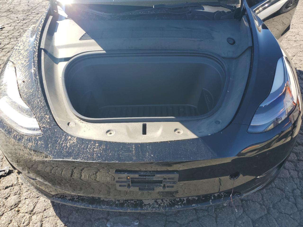 2022 Tesla Model Y VIN: 7SAYGDEFXNF320361 Lot: 86901495