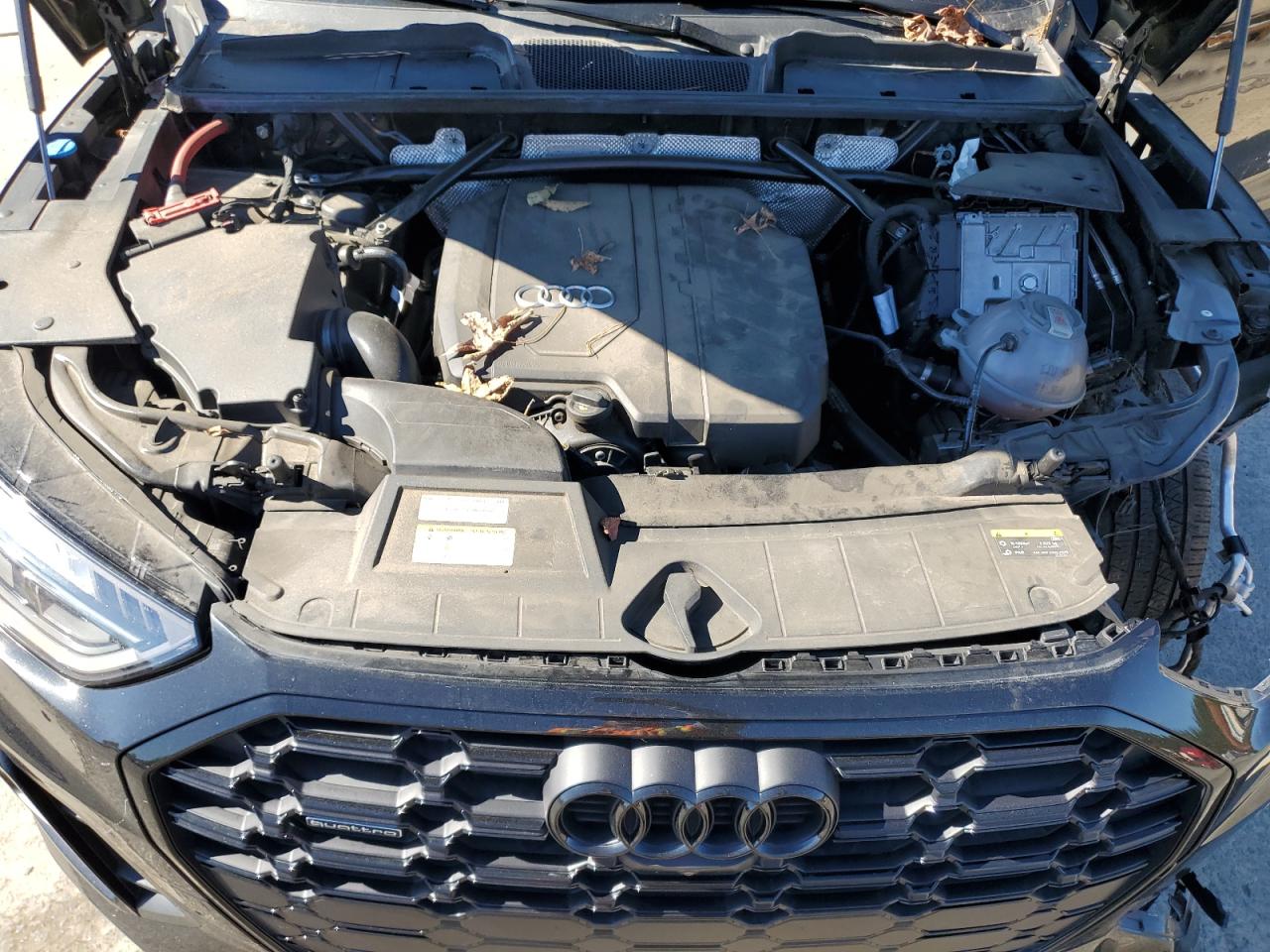 2023 Audi Q5 Premium Plus 45 VIN: WA1EAAFY2P2182380 Lot: 90570225