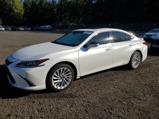  LEXUS ES300 2019 Белы
