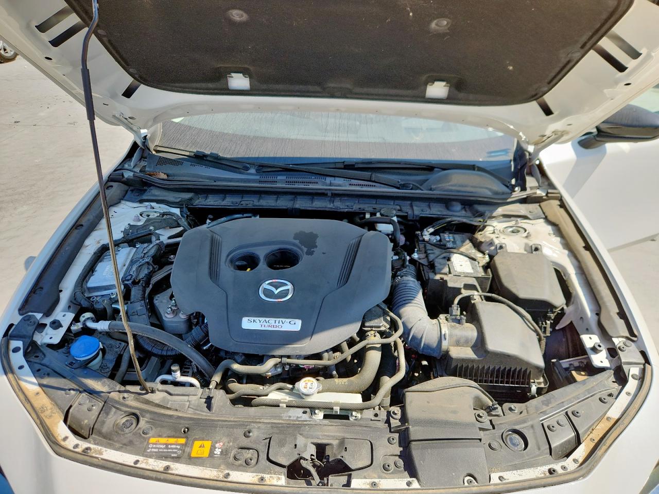 2023 Mazda 3 Premium Plus VIN: 3MZBPBEY3PM373021 Lot: 82257975