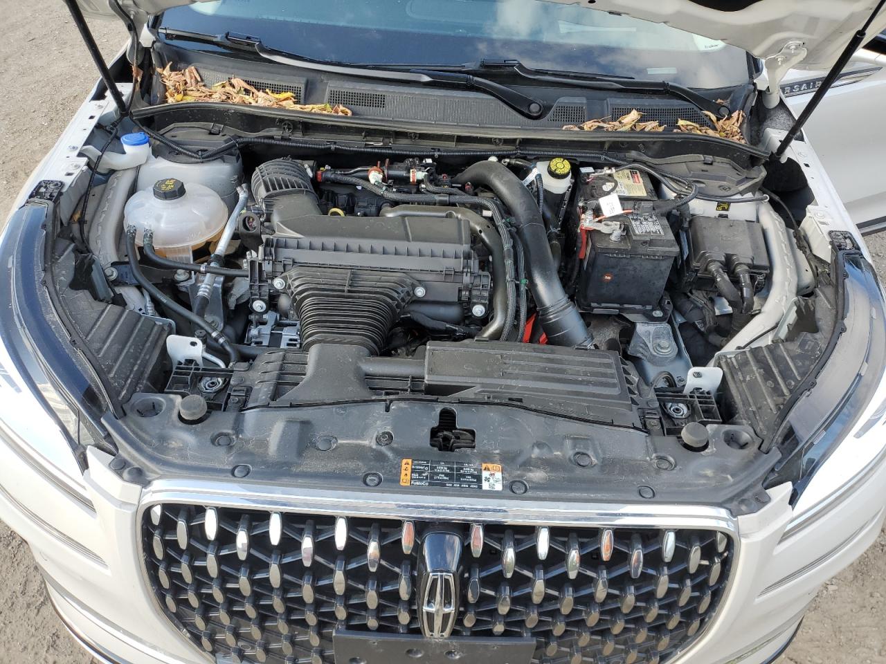 2024 Lincoln Corsair Reserve VIN: 5LMCJ2DA6RUL05879 Lot: 83786595