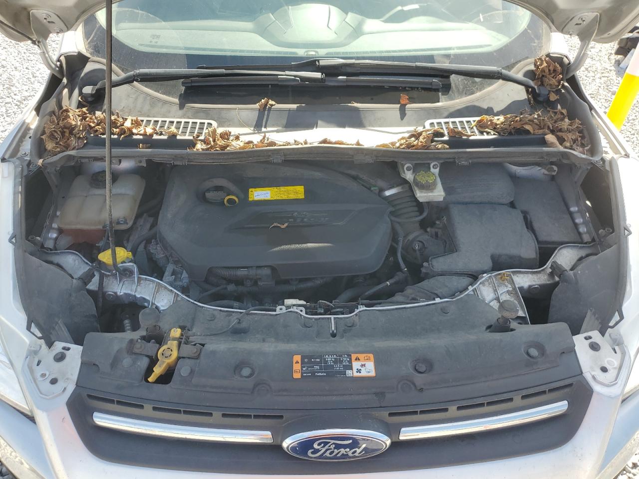 2015 Ford Escape Se VIN: 1FMCU9GX7FUA86123 Lot: 83993005