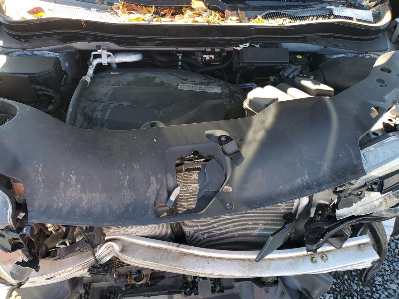 2019 Honda Pilot Exl VIN: 5FNYF6H5XKB006901 Lot: 82580925