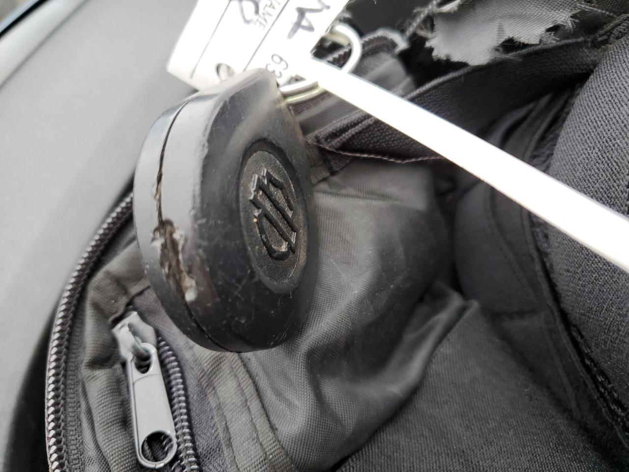 2024 Harley-Davidson Fxlrst VIN: 1HD1YXZ21RB054272 Lot: 82515125