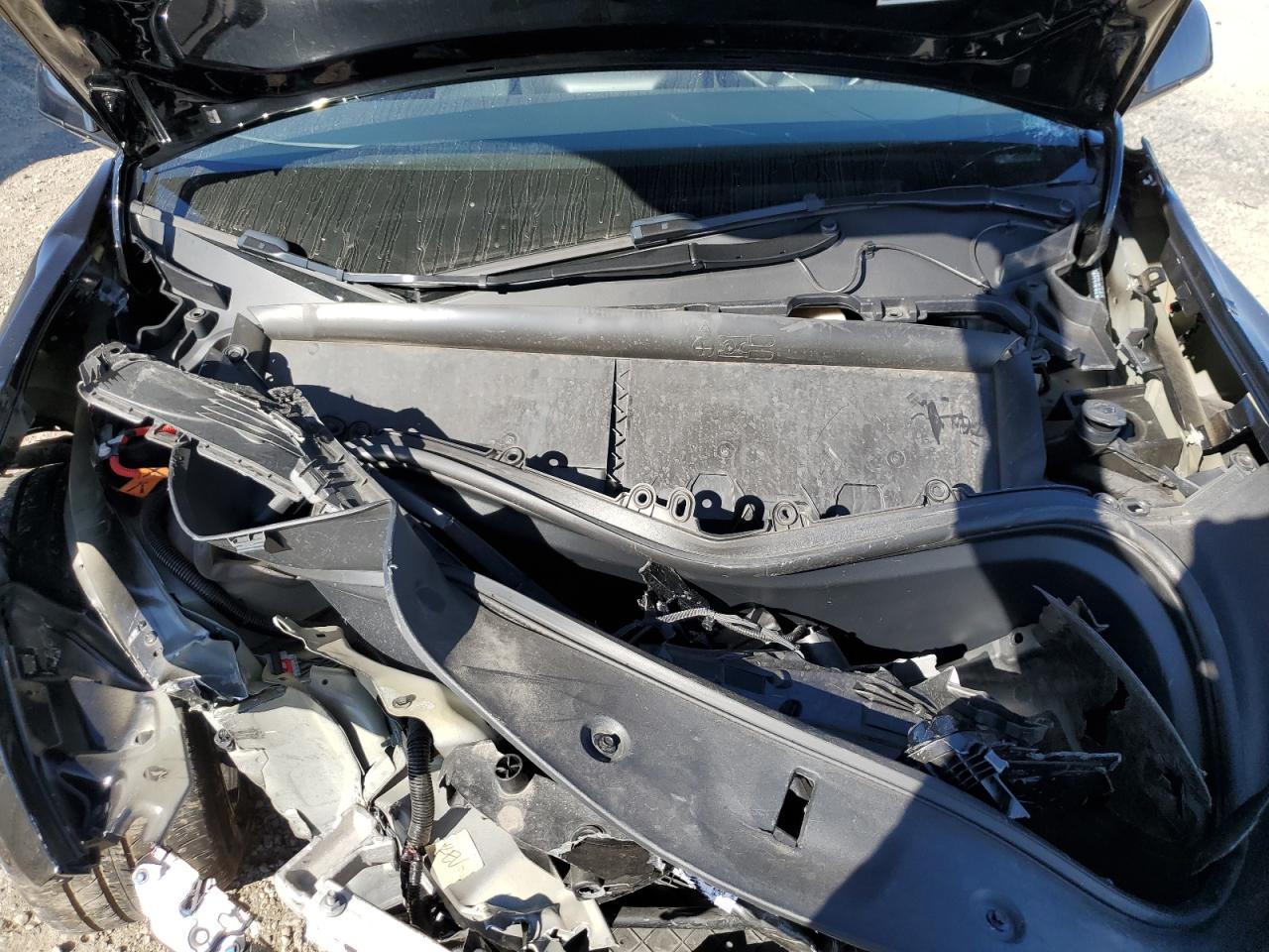 2024 Tesla Model Y VIN: 7SAYGAEE4RF211941 Lot: 87483535