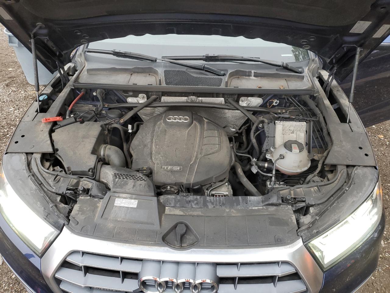 2019 Audi Q5 Technik S-Line VIN: WA1FNAFY0K2019406 Lot: 82162775