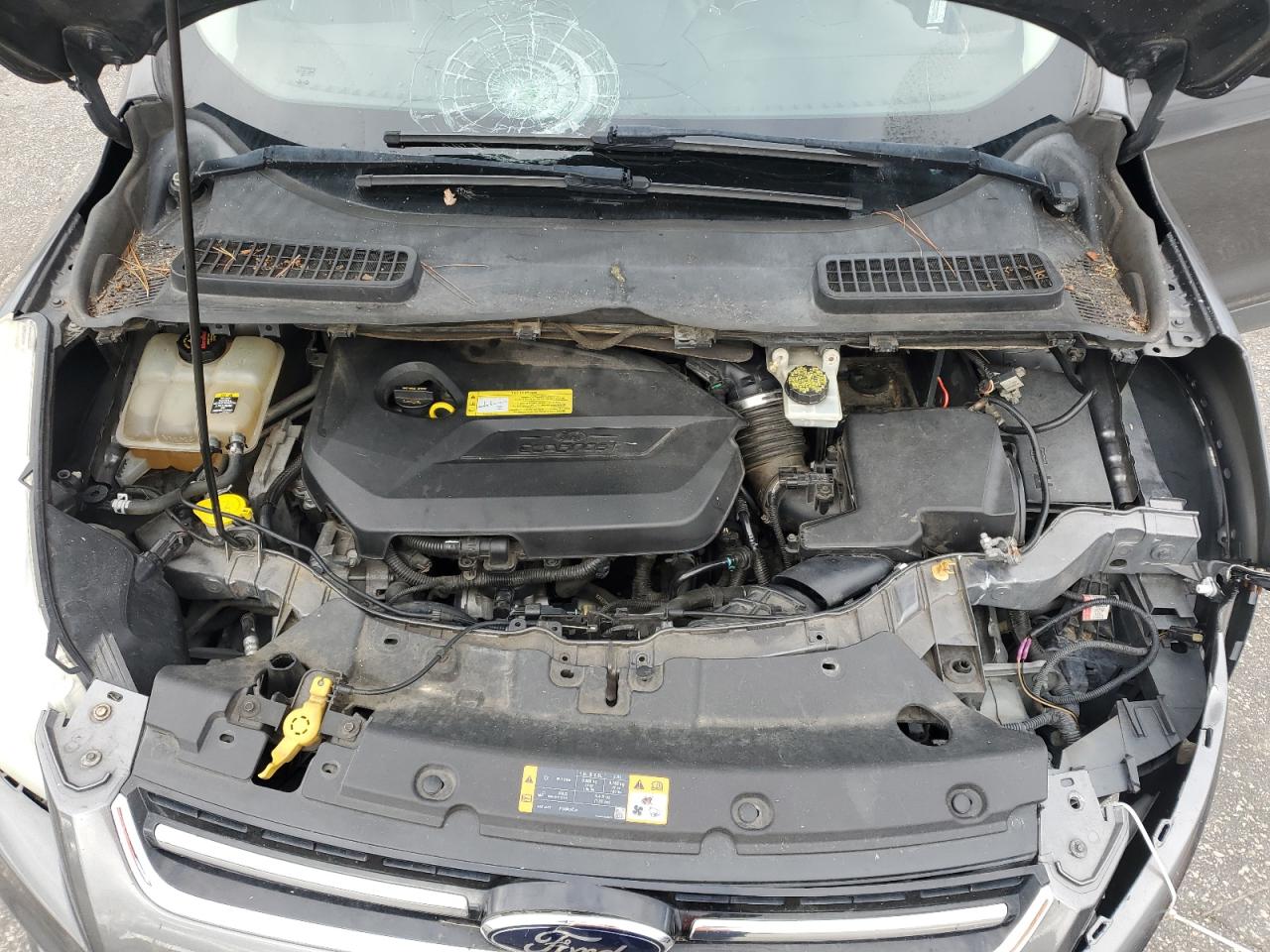 2013 Ford Escape Sel VIN: 1FMCU0HX5DUC42294 Lot: 82385945