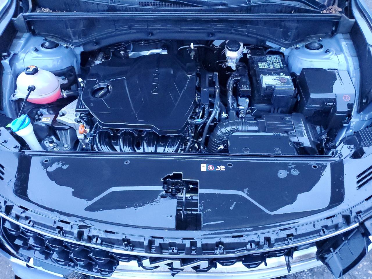 2023 Kia Sorento Lx VIN: 5XYRG4LC1PG234524 Lot: 84005255