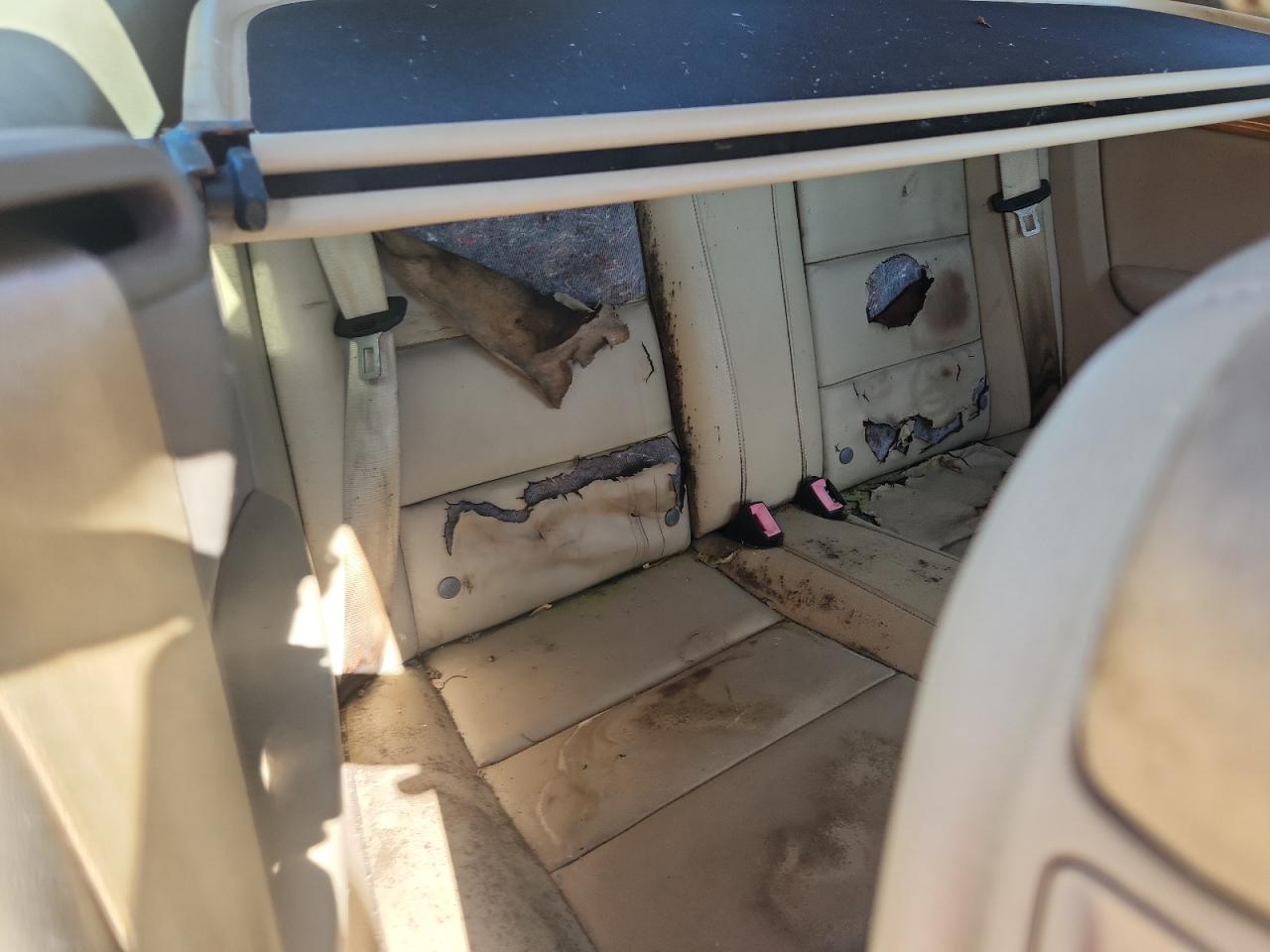 2009 Audi A4 3.2 Cabriolet Quattro VIN: WAUDH48H29K011141 Lot: 89491545