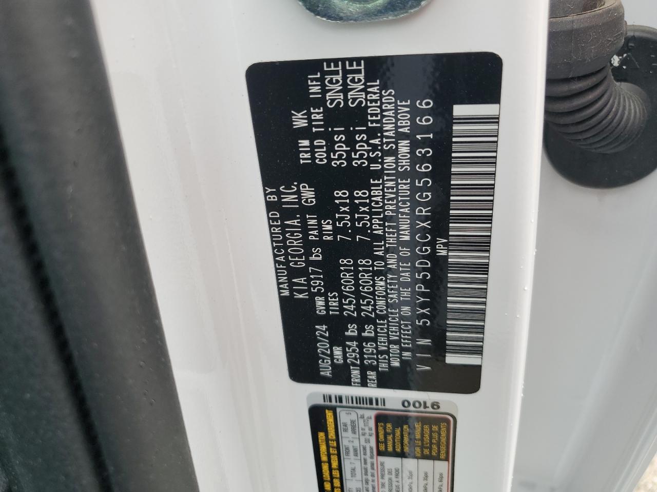 2024 Kia Telluride Sx VIN: 5XYP5DGCXRG563166 Lot: 85540525