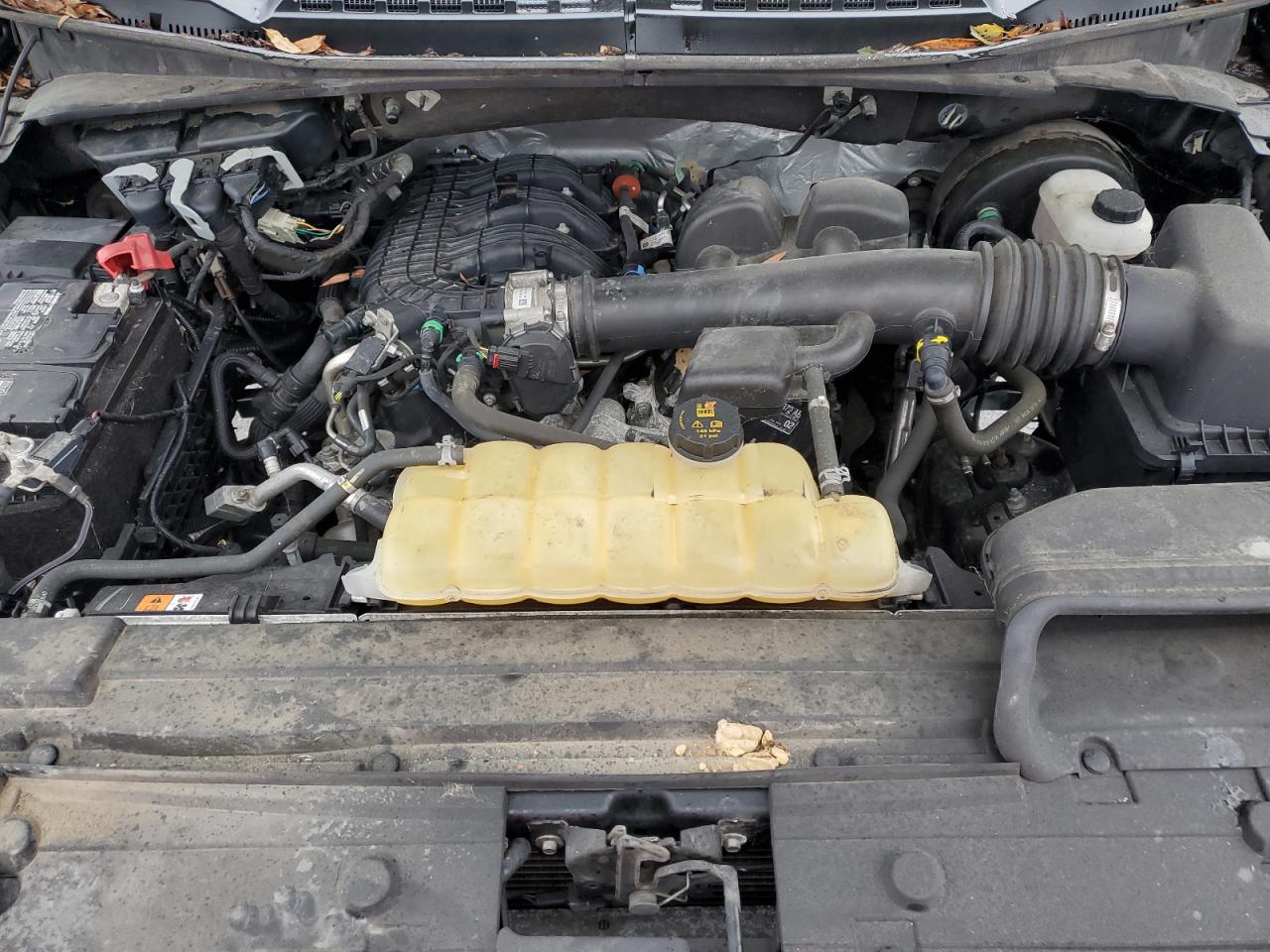 2020 Ford F150 VIN: 1FTMF1CBXLKD52921 Lot: 90355675