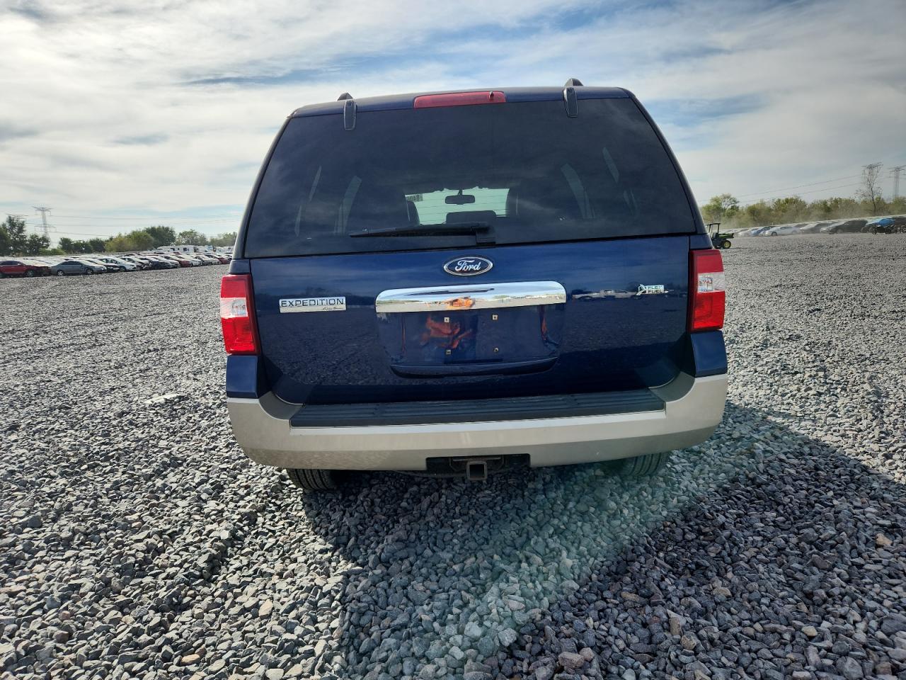 2009 Ford Expedition Eddie Bauer VIN: 1FMFU18529EA78392 Lot: 84069695