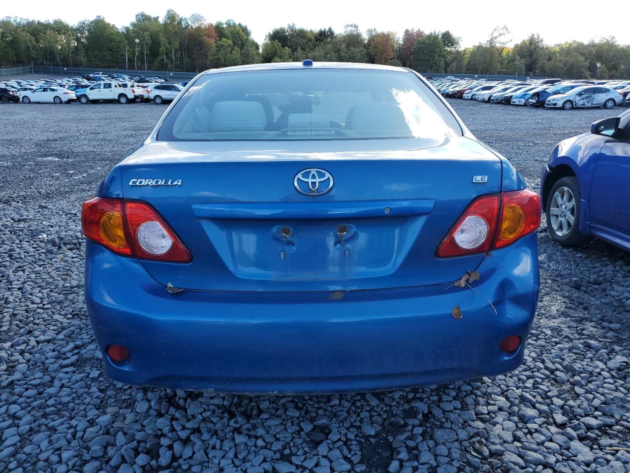 2010 Toyota Corolla Base VIN: 1NXBU4EE5AZ312104 Lot: 84873805