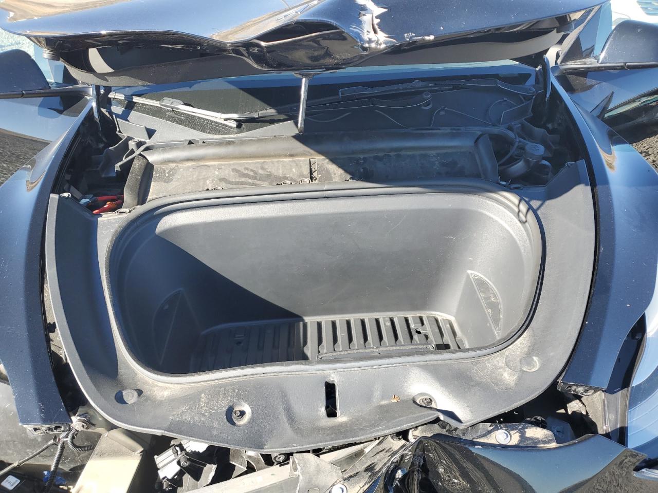 2022 Tesla Model Y VIN: 7SAYGDEE8NF513812 Lot: 90054265