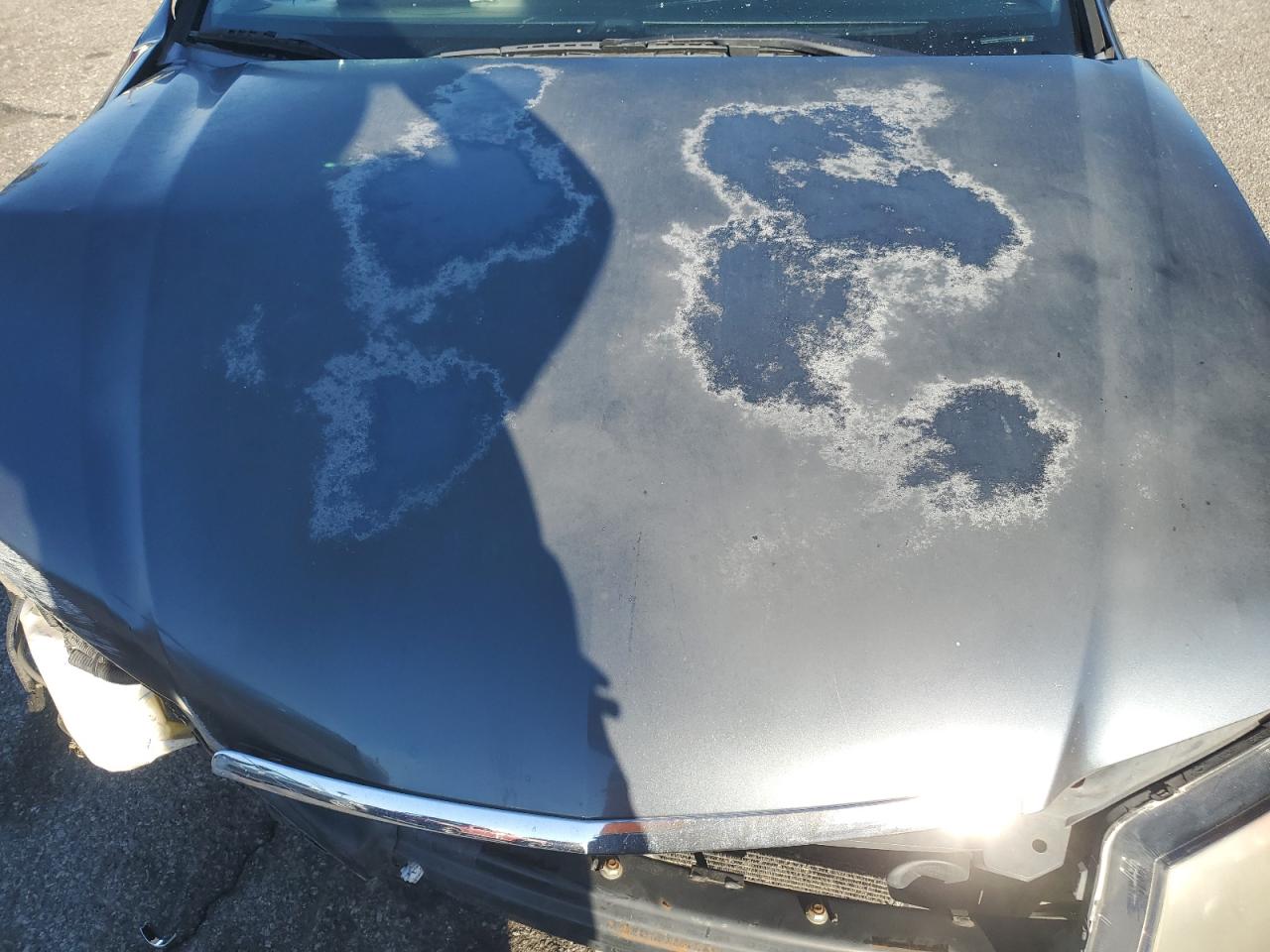 2005 Acura Tsx VIN: JH4CL96895C021732 Lot: 86804145