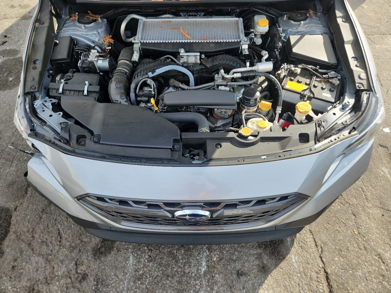 2024 Subaru Wrx Premium VIN: JF1VBAH61R9813232 Lot: 87367965