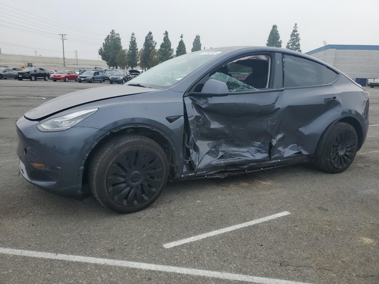 2023 Tesla Model Y VIN: 7SAYGDED7PF959203 Lot: 85182535
