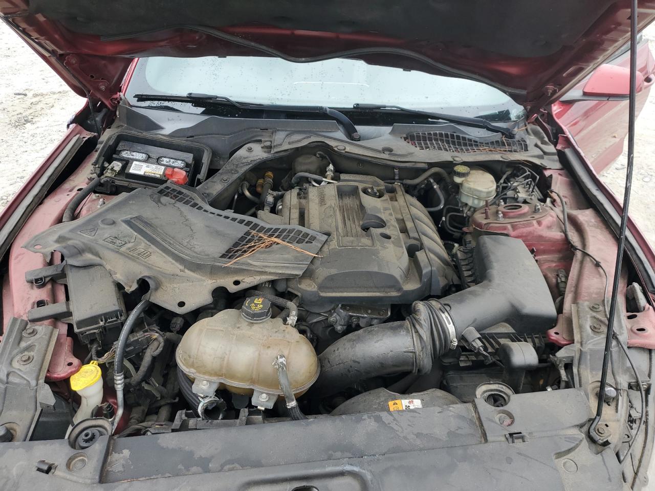 2017 Ford Mustang VIN: 1FA6P8TH8H5207875 Lot: 82767205