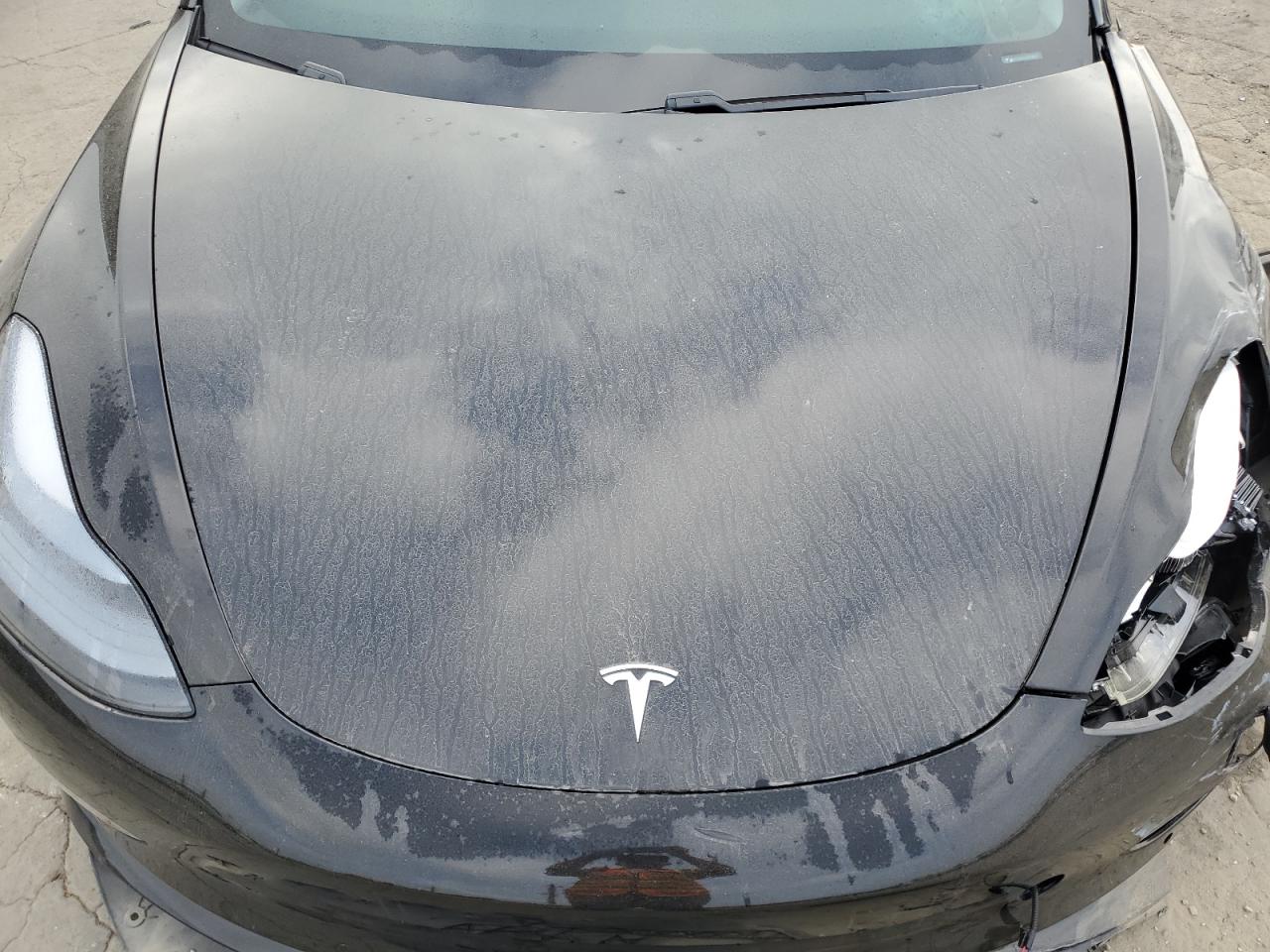 2021 Tesla Model 3 VIN: 5YJ3E1ECXMF065310 Lot: 89731315