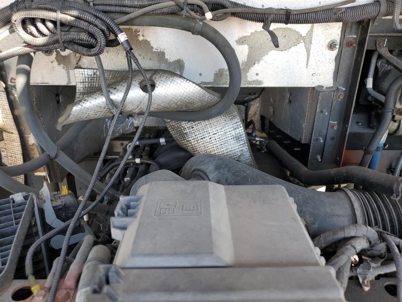 Фото: 1F65F5KN0M0A04715