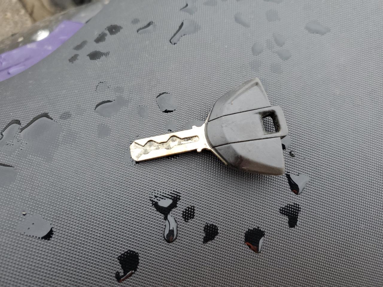 2023 BMW S 1000 Rr VIN: WB10E6308P6H06687 Lot: 86699755