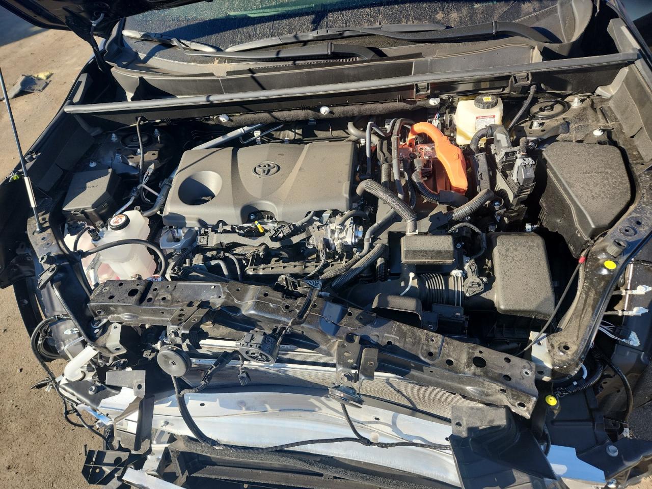 2025 Toyota Rav4 Xle VIN: JTMRWRFV7SD309442 Lot: 82230565