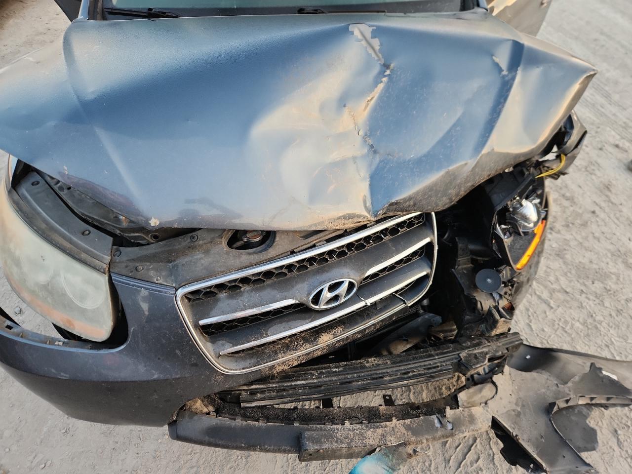 2009 Hyundai Santa Fe Se VIN: 5NMSH13E39H302992 Lot: 86182445