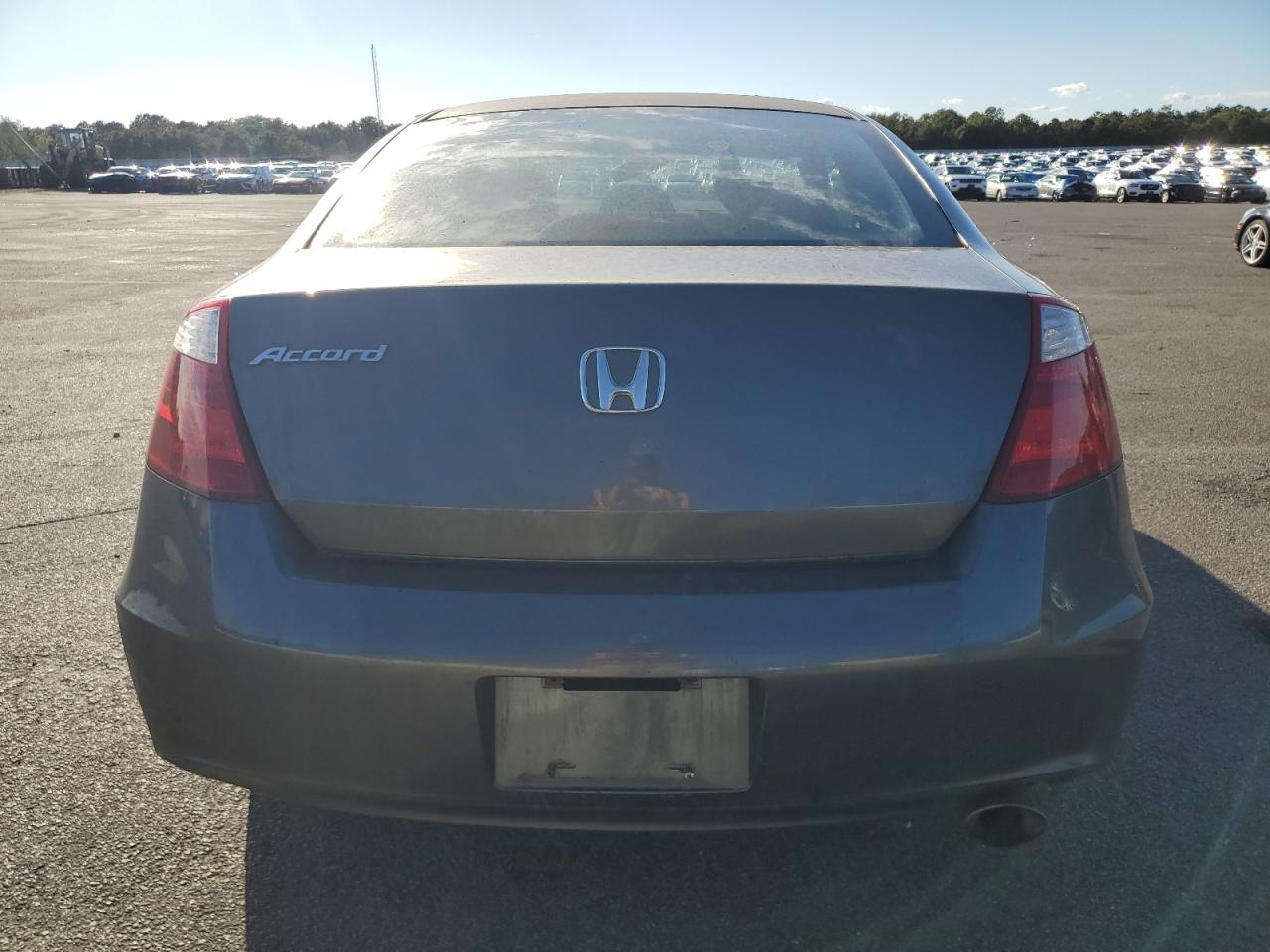 2010 Honda Accord Ex VIN: 1HGCS1B72AA002496 Lot: 85716005
