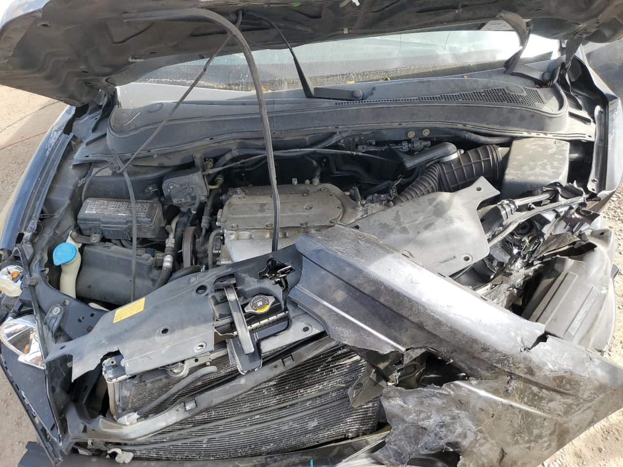 2005 Honda Pilot Exl VIN: 5FNYF18565B065595 Lot: 85716055