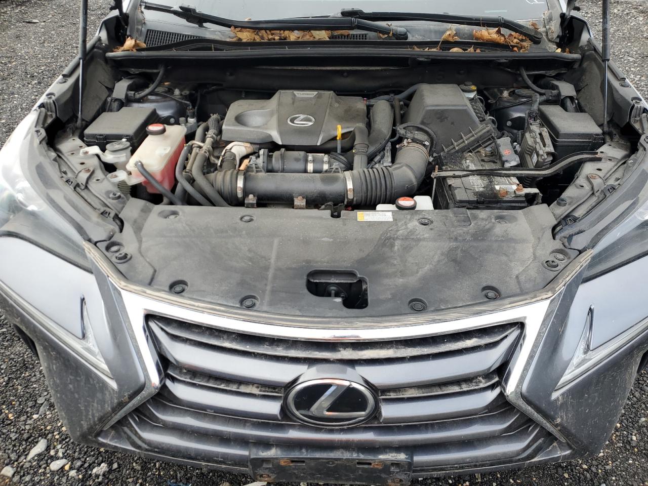 2015 Lexus Nx 200T VIN: JTJBARBZ4F2039111 Lot: 86059195