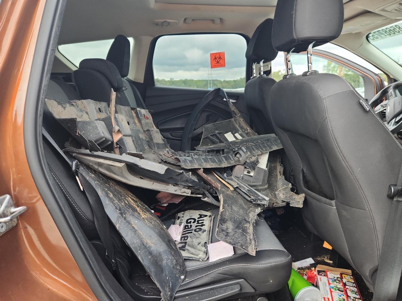 2017 Ford Escape Se VIN: 1FMCU0G98HUD67069 Lot: 85687755