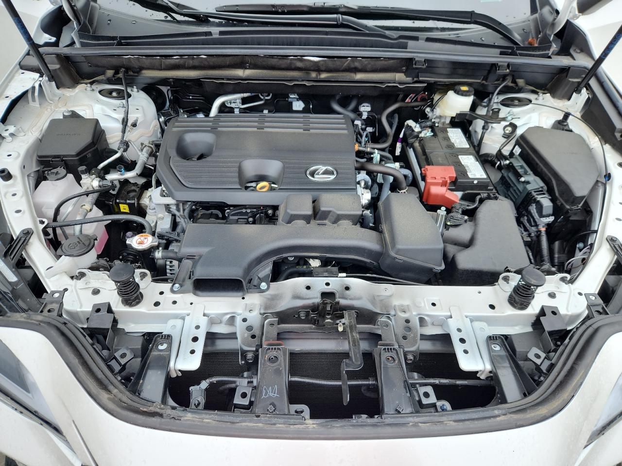 2025 Lexus Nx 250 Base VIN: 2T2ADCAZ9SC024907 Lot: 85506955