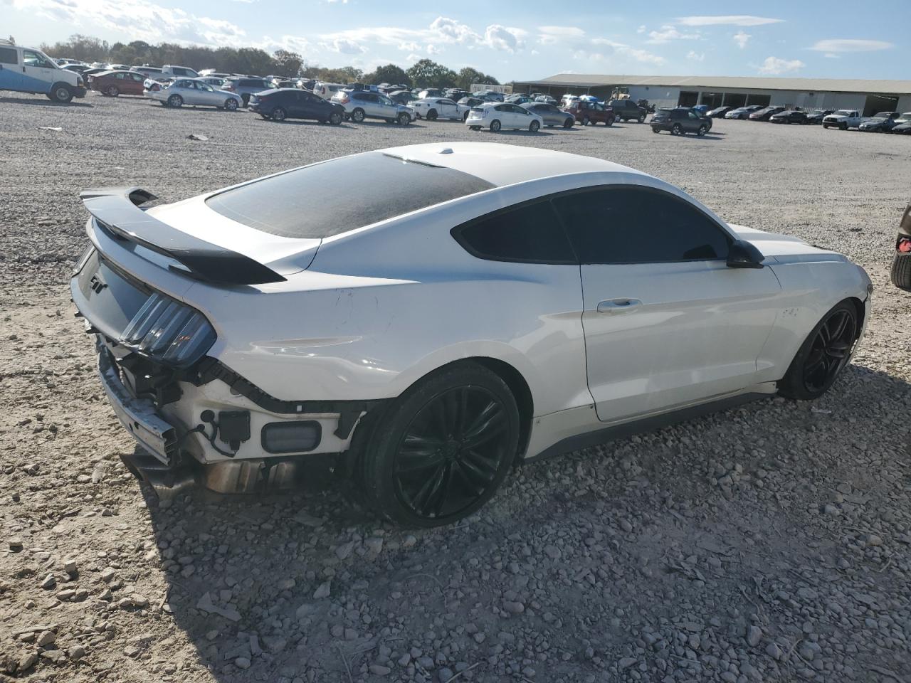 2017 Ford Mustang Gt white coupe gas 1FA6P8CFXH5316532 photo #4